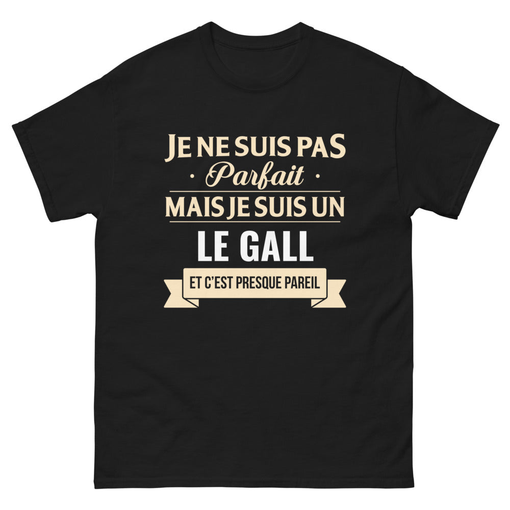 T-shirt Bretagne noir - Je ne suis pas parfait, presque pareil
