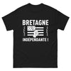 T-shirt Bretagne noir - Fierté régionale audacieuse