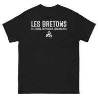 Thumbnail for T-shirt Bretagne noir - design mythes et légendes celtiques