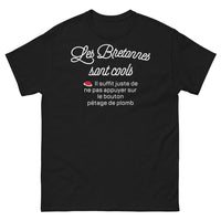 Thumbnail for T-shirt Bretagne noir - Gardez votre cool avec humour