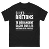 T-shirt Bretagne noir - Si les Bretons te dérangent, sache qu'ils s'en fichent