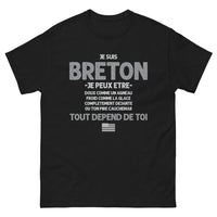 Thumbnail for T-shirt Bretagne noir - Je suis Breton, doux ou déjanté