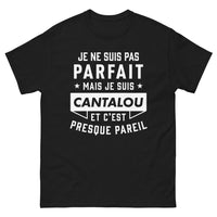 Thumbnail for T-shirt Cantalou noir - Je ne suis pas parfait, presque pareil