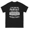T-shirt Cantalou noir - Je ne suis pas parfait, presque pareil