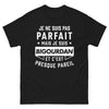 T-shirt Bigourdan noir - Je ne suis pas parfait mais je suis Bigourdan