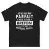 T-shirt Bretagne noir - Je ne suis pas parfait, mais je suis Breton