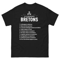 Thumbnail for T-shirt Bretagne noir - Les 10 Commandements Bretons