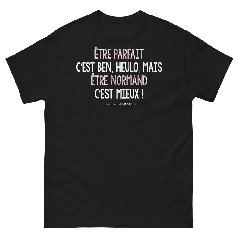 T-shirt Normand noir - Être parfait, c'est ben heulo