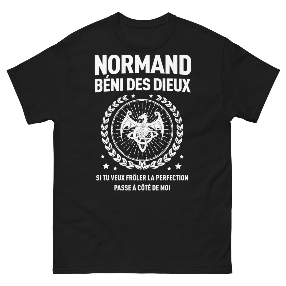 T-shirt Normand noir - Bénédiction des Dieux avec humour