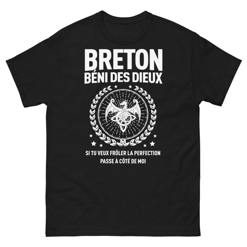 T-shirt Breton noir - Frôlez la perfection avec humour