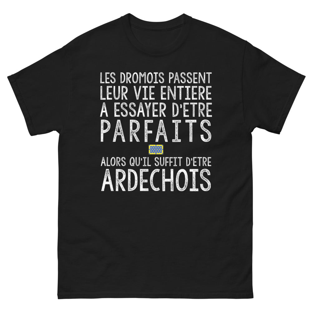T-shirt Drôme noir - Quête de perfection humoristique