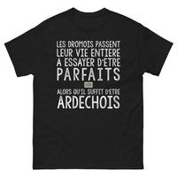 Thumbnail for T-shirt Drôme noir - Quête de perfection humoristique