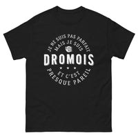 Thumbnail for T-shirt Drômoise noir - Pas parfait mais n°1