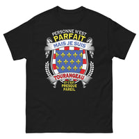 Thumbnail for T-shirt Tourangeau noir - Personne n'est parfait, presque pareil