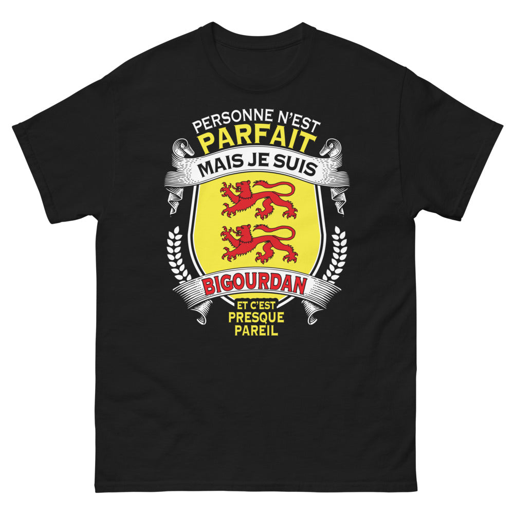 T-shirt Bigourdan noir - Personne n'est parfait, je suis Bigourdan