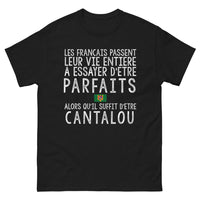 Thumbnail for T-shirt Cantalou noir - L'art de ne pas être parfait