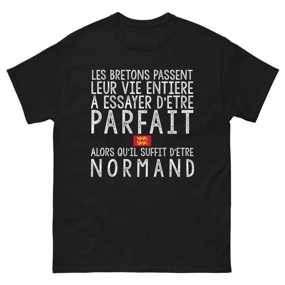 T-shirt Normand noir - Parfaitement imparfait