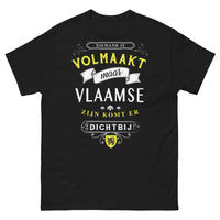 Thumbnail for T-shirt Flamands noir - Les Flamands touchent la perfection