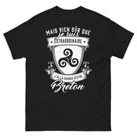 Thumbnail for T-shirt Bretagne noir - Breton fier et extraordinaire