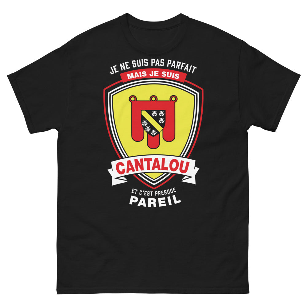T-shirt Cantal noir - Je ne suis pas parfait mais je suis Cantalou