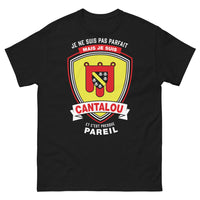 Thumbnail for T-shirt Cantal noir - Je ne suis pas parfait mais je suis Cantalou