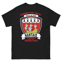 Thumbnail for T-shirt Nantais noir - Personne n'est parfait, mais je suis Nantais