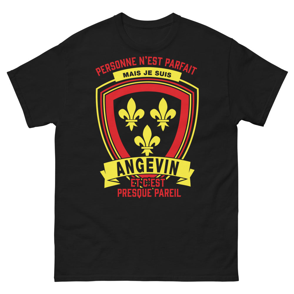 T-shirt Angers noir - Personne n'est parfait mais je suis Angevin