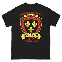 Thumbnail for T-shirt Angers noir - Personne n'est parfait mais je suis Angevin