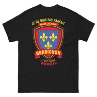 Thumbnail for T-shirt Berrichon noir - Je ne suis pas parfait mais je suis Berrichon