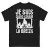 T-shirt Bretagne noir - Je suis chaud comme la Breizh