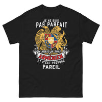 Thumbnail for T-shirt arménien noir - Je ne suis pas parfait mais arménien