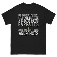 Thumbnail for T-shirt Drôme Ardèche noir - Les Drômois parfaits mais Ardéchois