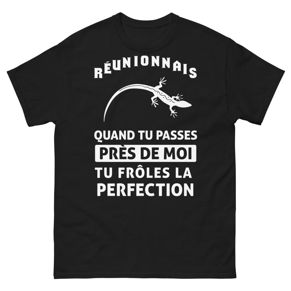 T-shirt Réunionnais noir - frôle la perfection