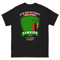 Thumbnail for T-shirt zambien noir - je ne suis pas parfait mais zambien