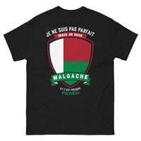 Thumbnail for T-shirt Malgache noir - Je ne suis pas parfait mais Malgache