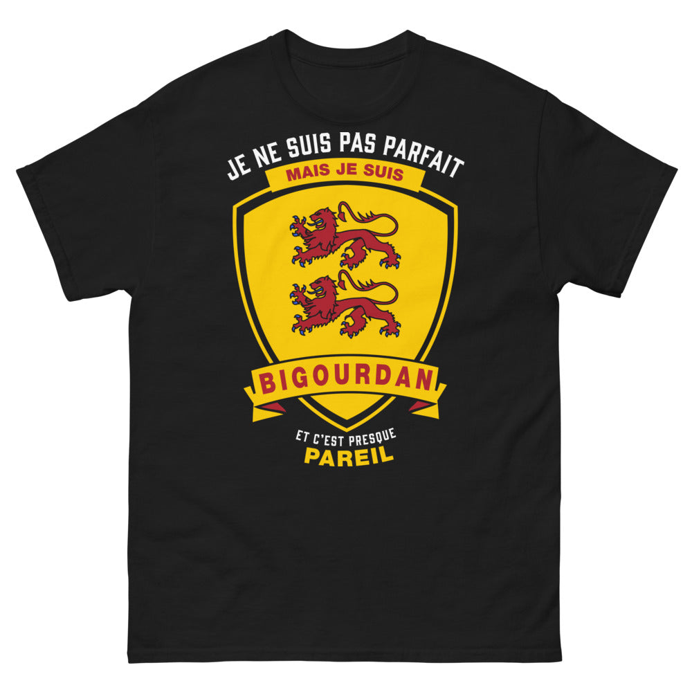 T-shirt Bigourdan noir - je ne suis pas parfait