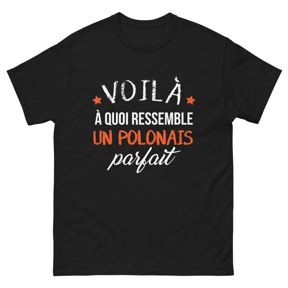 T-shirt Polonais noir face - Voilà à quoi ressemble un Polonais parfait