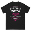 T-shirt Grecque noir - Je ne suis pas parfaite mais presque