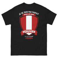 Thumbnail for T-shirt Péruvien noir - je ne suis pas parfait