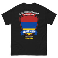 Thumbnail for T-shirt arménien noir - Je ne suis pas parfait mais je suis arménien