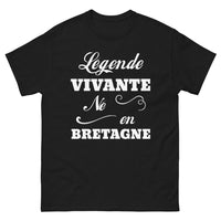 Thumbnail for T-shirt Bretagne noir - Légende vivante