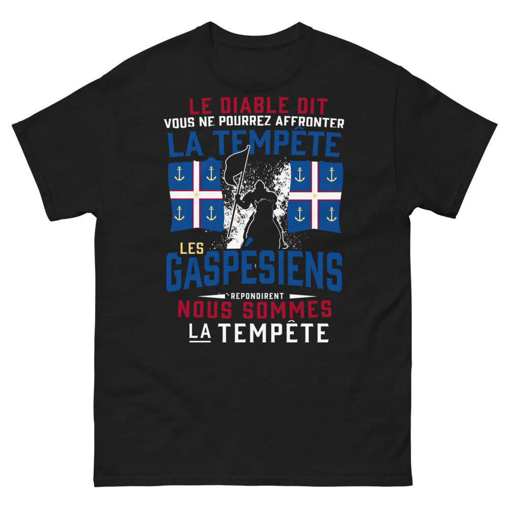 T-shirt Gaspésie noir face - esprit indomptable
