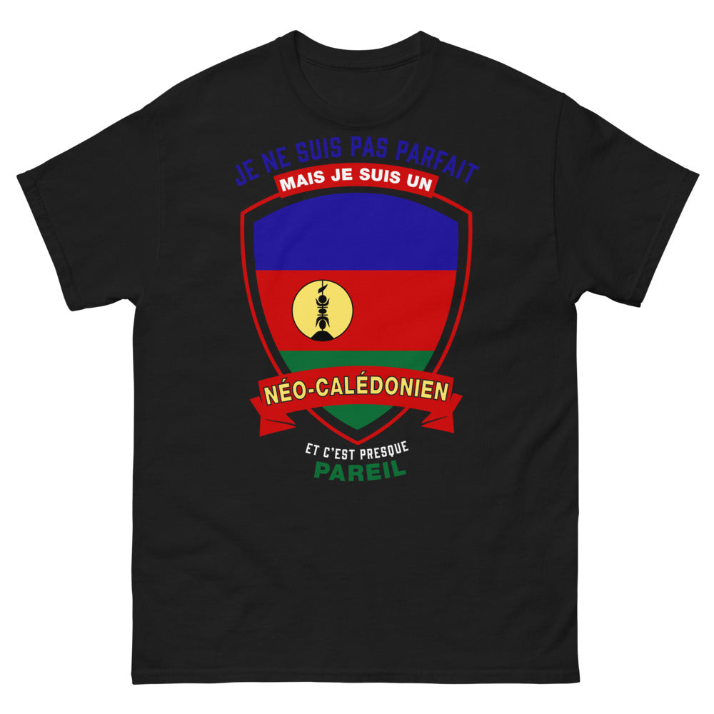 T-shirt néo-calédonien noir - Je ne suis pas parfait