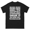 T-shirt Bretonne noir face - Bretonne unique et maligne