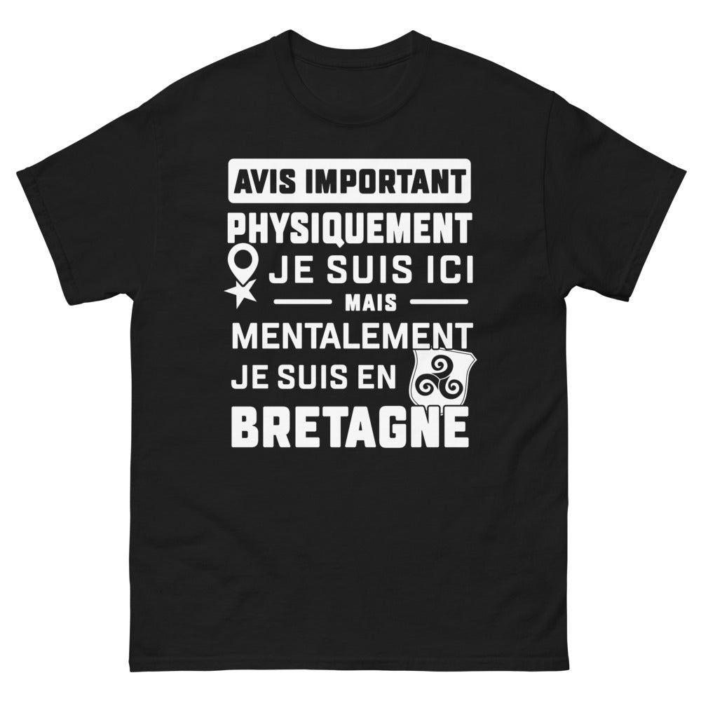 T-shirt Bretagne noir - physiquement en Bretagne