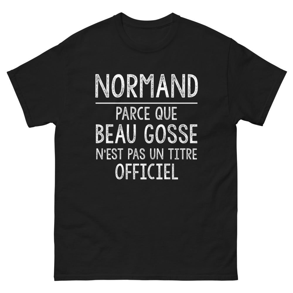T-shirt Normand noir - Beau Gosse Normand