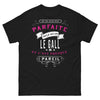 T-shirt Le Gall noir face - Je ne suis pas parfaite