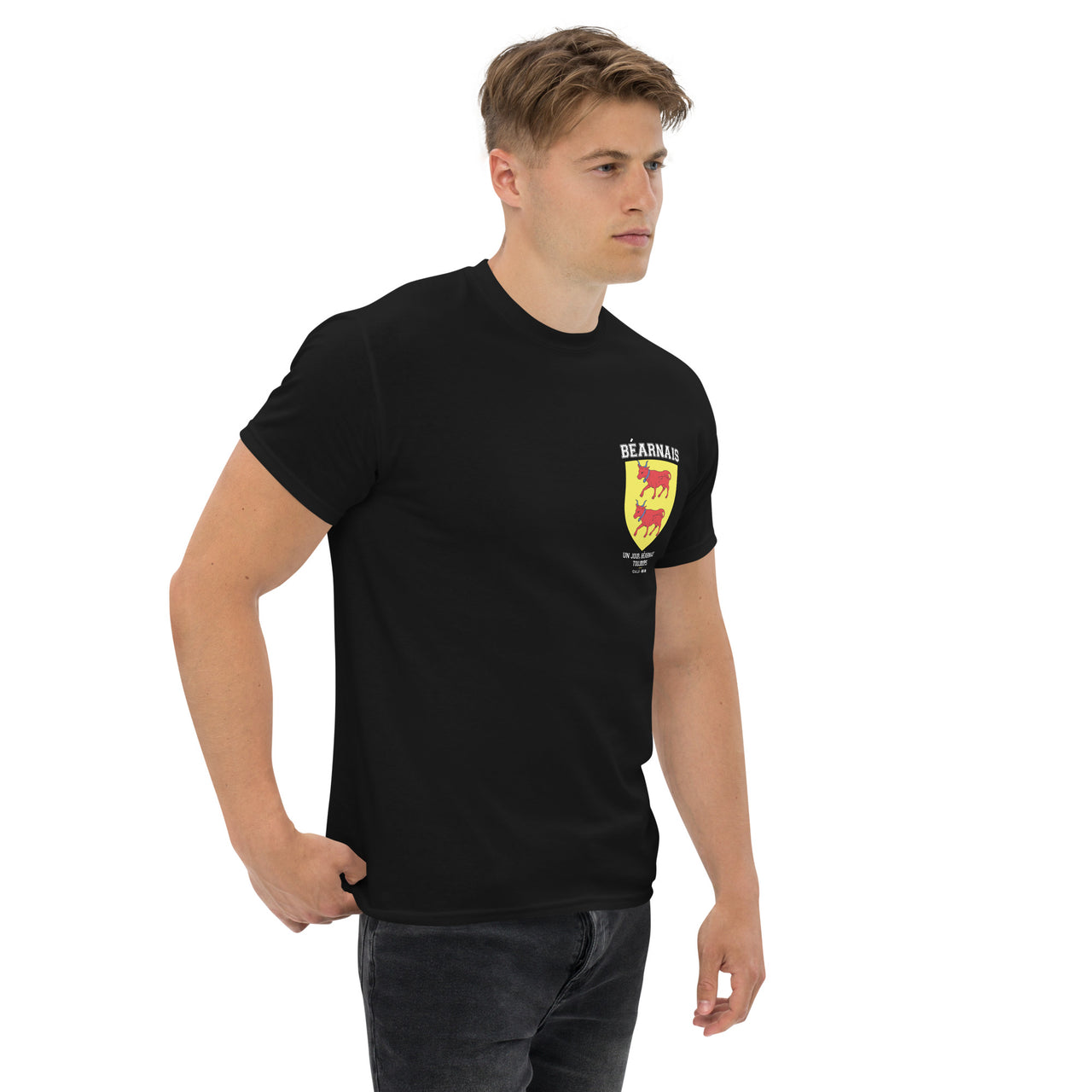T-shirt Béarn bleu marine - Blason béarnais humoristique