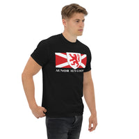 Thumbnail for T-shirt Gers gris chiné - Drapeau gascon et blason d'Armagnac