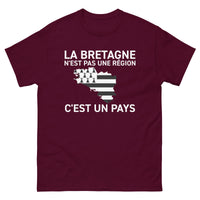 Thumbnail for T-shirt Bretagne noir dos - La Bretagne n'est pas une région
